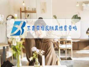 王者荣耀皮肤属性重要吗