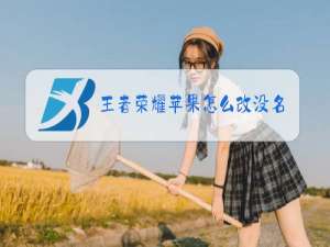 王者荣耀苹果怎么改没名字