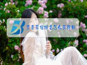 王者荣耀排名怎么获得初级