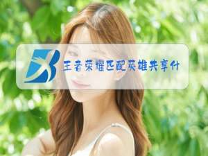 王者荣耀匹配英雄共享什么意思