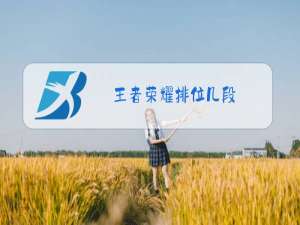 王者荣耀排位几段
