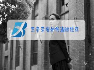 王者荣耀如何清除缓存