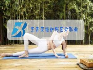 王者荣耀如何区分职业