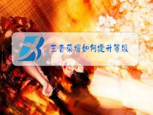 王者荣耀如何提升等级