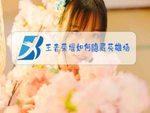 王者荣耀如何隐藏英雄场数