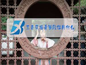 王者荣耀青铜段位用什么英雄上分快