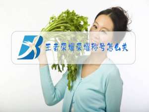 王者荣耀荣耀称号怎么关