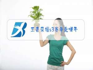 王者荣耀s3赛季是哪年