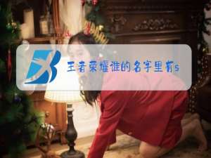 王者荣耀谁的名字里有si