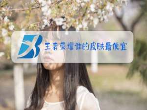 王者荣耀谁的皮肤最便宜