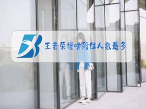 王者荣耀啥段位人数最多