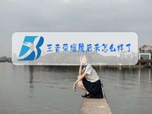 王者荣耀晟后来怎么样了