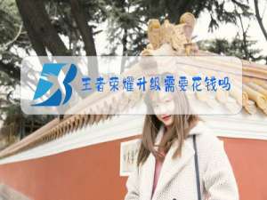 王者荣耀升级需要花钱吗