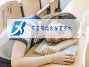 王者荣耀数据有多大