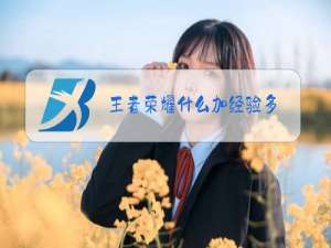 王者荣耀什么加经验多