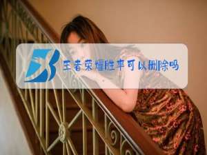 王者荣耀胜率可以删除吗