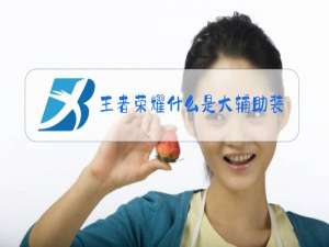 王者荣耀什么是大辅助装