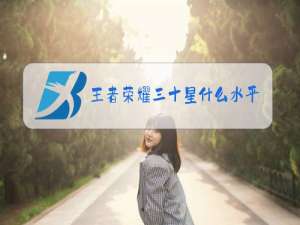 王者荣耀三十星什么水平