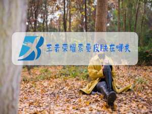 王者荣耀索要皮肤在哪关闭