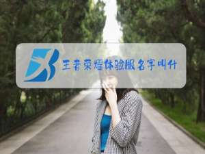 王者荣耀体验服名字叫什么