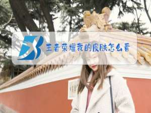 王者荣耀我的皮肤怎么看