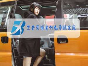 王者荣耀为什么要限定皮肤