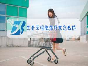 王者荣耀微信好友怎么拉黑名单