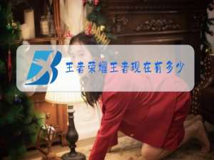 王者荣耀王者现在有多少