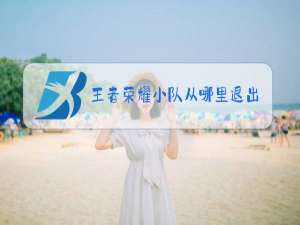 王者荣耀小队从哪里退出