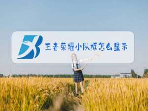 王者荣耀小队框怎么显示出来