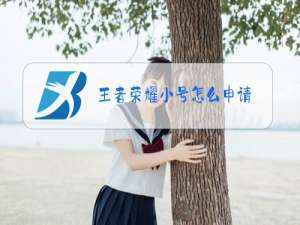 王者荣耀小号怎么申请