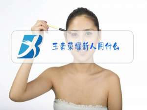 王者荣耀新人用什么