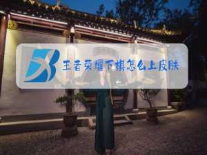 王者荣耀下棋怎么上皮肤