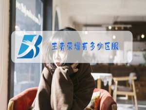王者荣耀有多少区服