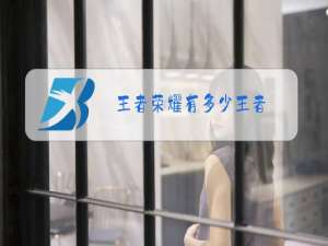 王者荣耀有多少王者