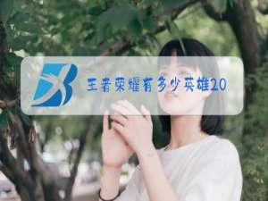 王者荣耀有多少英雄2021年
