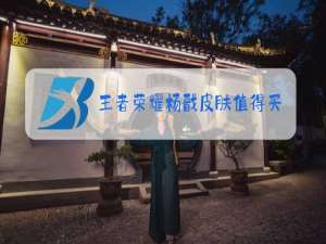 王者荣耀杨戬皮肤值得买吗