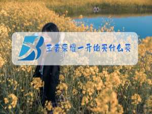 王者荣耀一开始买什么英雄最划算