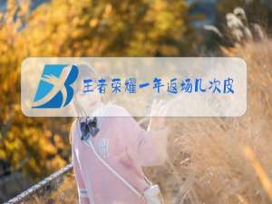 王者荣耀一年返场几次皮肤