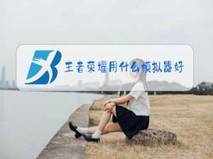 王者荣耀用什么模拟器好