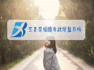 王者荣耀隐身战绩显示吗