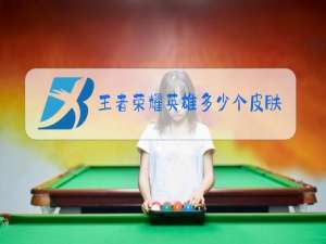 王者荣耀英雄多少个皮肤