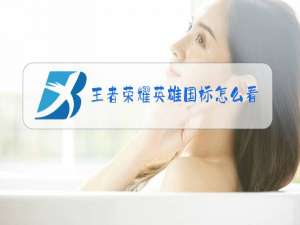 王者荣耀英雄国标怎么看度排行榜