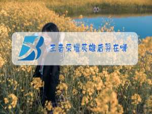 王者荣耀英雄后羿在哪