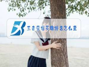 王者荣耀英雄排名怎么查看