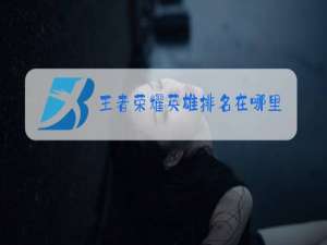 王者荣耀英雄排名在哪里看