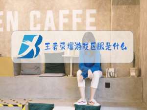 王者荣耀游戏区服是什么
