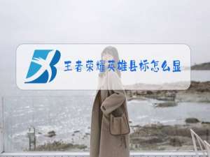 王者荣耀英雄县标怎么显示