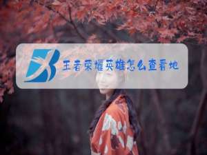 王者荣耀英雄怎么查看地区排名