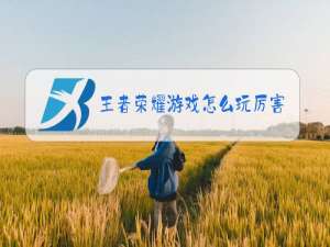 王者荣耀游戏怎么玩厉害